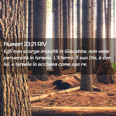 Picture 02 - Numeri 23:21 RIV - Egli non scorge iniquità in Giacobbe, non vede - Bible Verse Picture