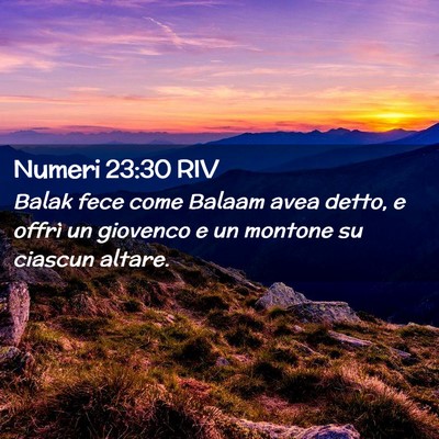Picture 02 - Numeri 23:30 RIV - Balak fece come Balaam avea detto, e offrì un - Bible Verse Picture