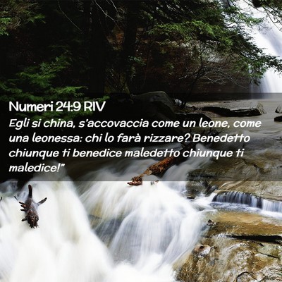 Picture 02 - Numeri 24:9 RIV - Egli si china, s’accovaccia come un leone, come - Bible Verse Picture