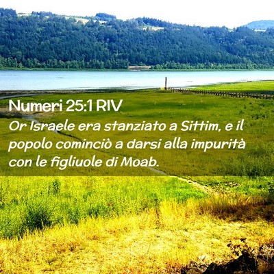 Picture 02 - Numeri 25:1 RIV - Or Israele era stanziato a Sittim, e il popolo - Bible Verse Picture