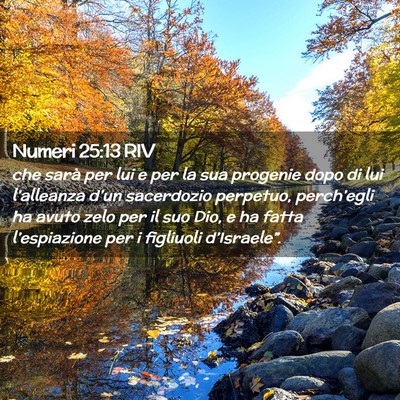 Picture 02 - Numeri 25:13 RIV - che sarà per lui e per la sua progenie dopo di - Bible Verse Picture