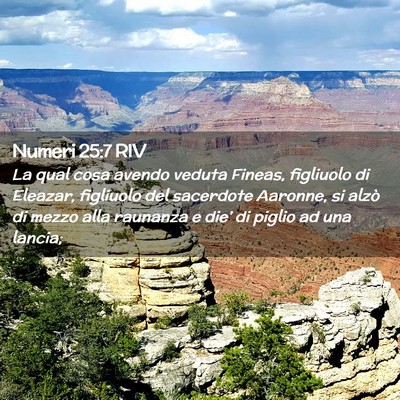 Picture 02 - Numeri 25:7 RIV - La qual cosa avendo veduta Fineas, figliuolo di - Bible Verse Picture