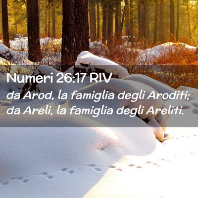 Picture 02 - Numeri 26:17 RIV - da Arod, la famiglia degli Aroditi; da Areli, la - Bible Verse Picture