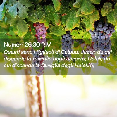 Picture 02 - Numeri 26:30 RIV - Questi sono i figliuoli di Galaad: Jezer, da cui - Bible Verse Picture