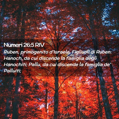 Picture 02 - Numeri 26:5 RIV - Ruben, primogenito d’Israele. Figliuoli di - Bible Verse Picture
