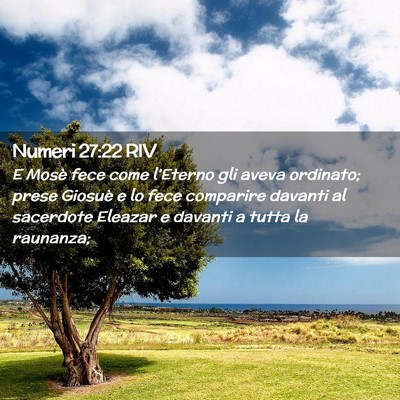 Picture 02 - Numeri 27:22 RIV - E Mosè fece come l’Eterno gli aveva ordinato; - Bible Verse Picture