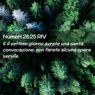 Picture 02 - Numeri 28:25 RIV - E il settimo giorno avrete una santa - Bible Verse Picture