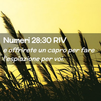 Picture 02 - Numeri 28:30 RIV - e offrirete un capro per fare l’espiazione per - Bible Verse Picture