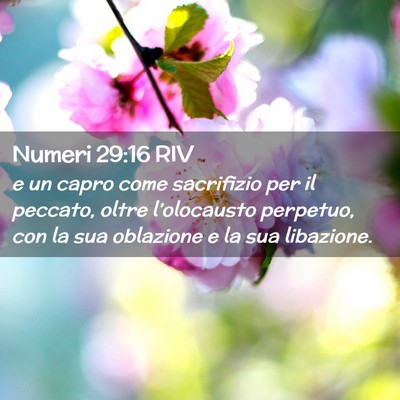 Picture 02 - Numeri 29:16 RIV - e un capro come sacrifizio per il peccato, oltre - Bible Verse Picture