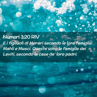Picture 02 - Numeri 3:20 RIV - E i figliuoli di Merari secondo le loro famiglie: - Bible Verse Picture