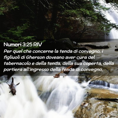 Picture 02 - Numeri 3:25 RIV - Per quel che concerne la tenda di convegno, i - Bible Verse Picture
