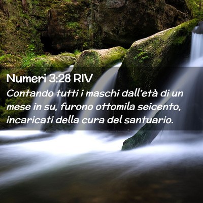 Picture 02 - Numeri 3:28 RIV - Contando tutti i maschi dall’età di un mese in - Bible Verse Picture