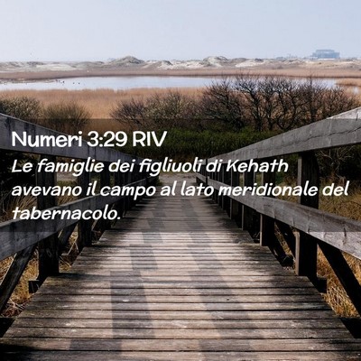 Picture 02 - Numeri 3:29 RIV - Le famiglie dei figliuoli di Kehath avevano il - Bible Verse Picture