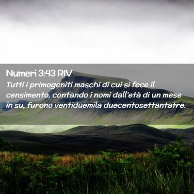 Picture 02 - Numeri 3:43 RIV - Tutti i primogeniti maschi di cui si fece il - Bible Verse Picture