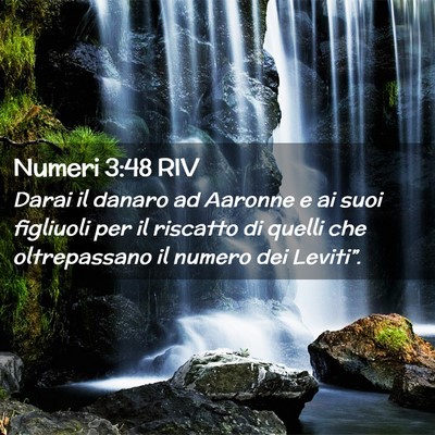 Picture 02 - Numeri 3:48 RIV - Darai il danaro ad Aaronne e ai suoi figliuoli - Bible Verse Picture