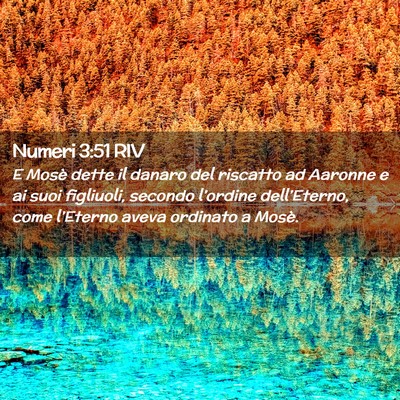 Picture 02 - Numeri 3:51 RIV - E Mosè dette il danaro del riscatto ad Aaronne e - Bible Verse Picture