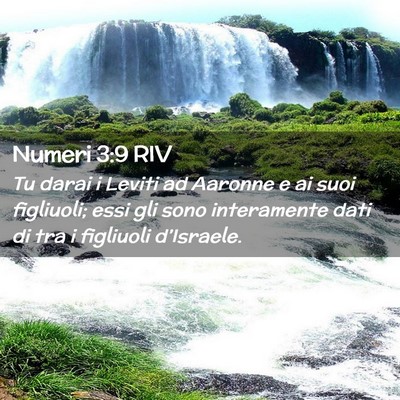Picture 02 - Numeri 3:9 RIV - Tu darai i Leviti ad Aaronne e ai suoi figliuoli; - Bible Verse Picture