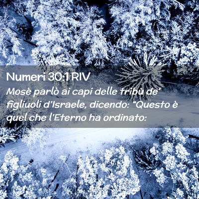 Picture 02 - Numeri 30:1 RIV - Mosè parlò ai capi delle tribù de’ figliuoli - Bible Verse Picture