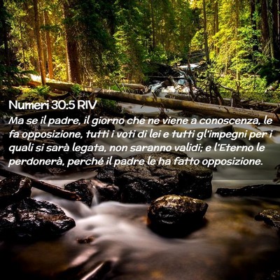 Picture 02 - Numeri 30:5 RIV - Ma se il padre, il giorno che ne viene a - Bible Verse Picture