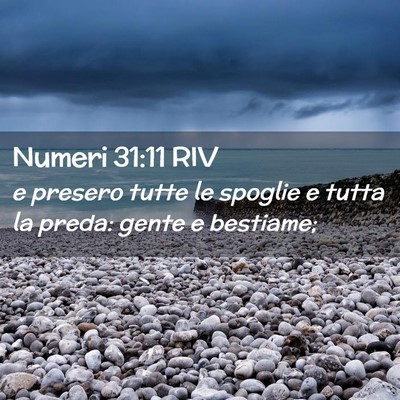 Picture 02 - Numeri 31:11 RIV - e presero tutte le spoglie e tutta la preda: - Bible Verse Picture