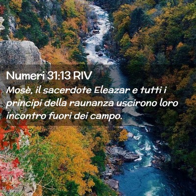 Picture 02 - Numeri 31:13 RIV - Mosè, il sacerdote Eleazar e tutti i principi - Bible Verse Picture