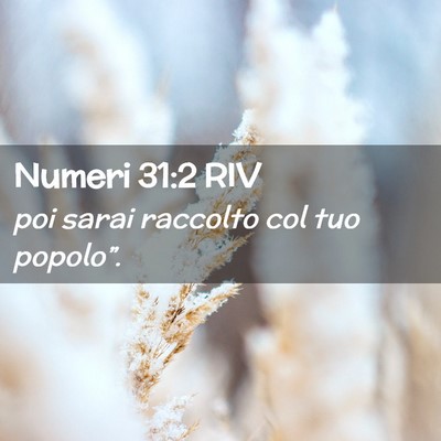 Picture 02 - Numeri 31:2 RIV - poi sarai raccolto col tuo - Bible Verse Picture