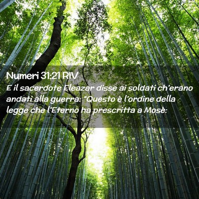 Picture 02 - Numeri 31:21 RIV - E il sacerdote Eleazar disse ai soldati - Bible Verse Picture