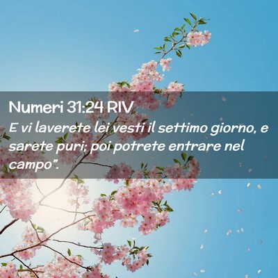 Picture 02 - Numeri 31:24 RIV - E vi laverete lei vesti il settimo giorno, e - Bible Verse Picture