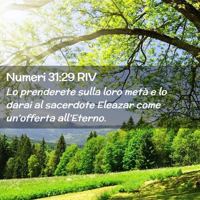 Picture 02 - Numeri 31:29 RIV - Lo prenderete sulla loro metà e lo darai al - Bible Verse Picture