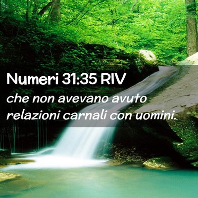Picture 02 - Numeri 31:35 RIV - che non avevano avuto relazioni carnali con - Bible Verse Picture