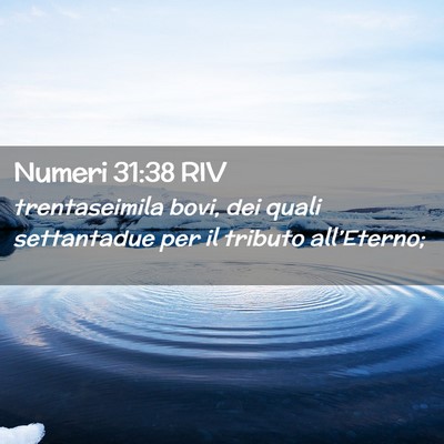 Picture 02 - Numeri 31:38 RIV - trentaseimila bovi, dei quali settantadue per il - Bible Verse Picture