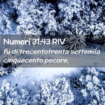 Picture 02 - Numeri 31:43 RIV - fu di trecentotrenta settemila cinquecento - Bible Verse Picture