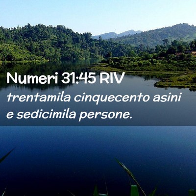 Picture 02 - Numeri 31:45 RIV - trentamila cinquecento asini e sedicimila - Bible Verse Picture