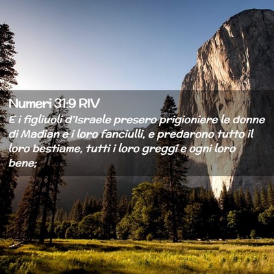 Picture 02 - Numeri 31:9 RIV - E i figliuoli d’Israele presero prigioniere le - Bible Verse Picture