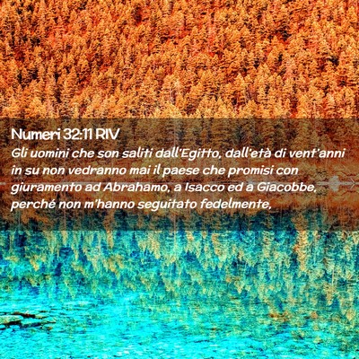 Picture 02 - Numeri 32:11 RIV - Gli uomini che son saliti dall’Egitto, - Bible Verse Picture