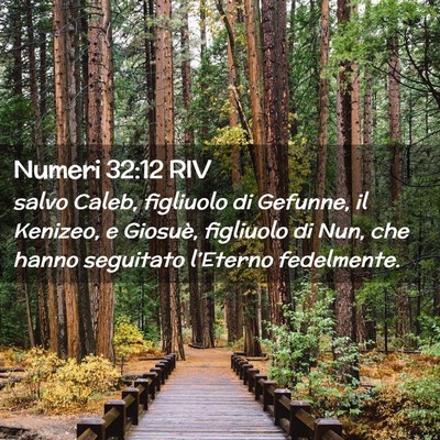 Picture 02 - Numeri 32:12 RIV - salvo Caleb, figliuolo di Gefunne, il Kenizeo, e - Bible Verse Picture