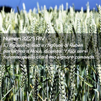 Picture 02 - Numeri 32:25 RIV - E i figliuoli di Gad e i figliuoli di Ruben - Bible Verse Picture