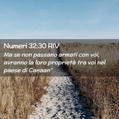 Picture 02 - Numeri 32:30 RIV - Ma se non passano armati con voi, avranno la loro - Bible Verse Picture