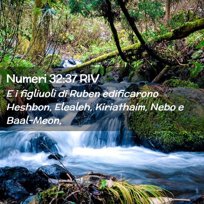 Picture 02 - Numeri 32:37 RIV - E i figliuoli di Ruben edificarono Heshbon, - Bible Verse Picture