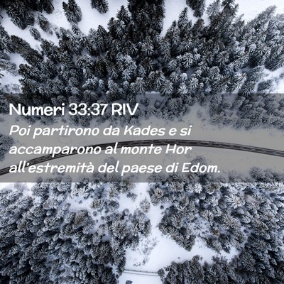 Picture 02 - Numeri 33:37 RIV - Poi partirono da Kades e si accamparono al monte - Bible Verse Picture