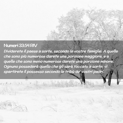 Picture 02 - Numeri 33:54 RIV - Dividerete il paese a sorte, secondo le vostre - Bible Verse Picture