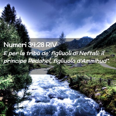 Picture 02 - Numeri 34:28 RIV - E per la tribù de’ figliuoli di Neftali: il - Bible Verse Picture