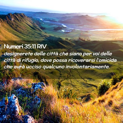 Picture 02 - Numeri 35:11 RIV - designerete delle città che siano per voi delle - Bible Verse Picture