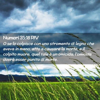 Picture 02 - Numeri 35:18 RIV - O se lo colpisce con uno stromento di legno che - Bible Verse Picture