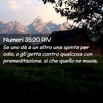 Picture 02 - Numeri 35:20 RIV - Se uno dà a un altro una spinta per odio, o gli - Bible Verse Picture