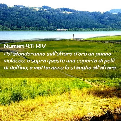 Picture 02 - Numeri 4:11 RIV - Poi stenderanno sull’altare d’oro un panno - Bible Verse Picture