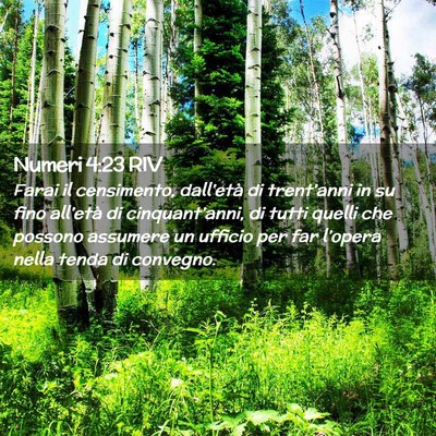 Picture 02 - Numeri 4:23 RIV - Farai il censimento, dall’età di trent’anni - Bible Verse Picture