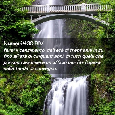 Picture 02 - Numeri 4:30 RIV - farai il censimento, dall’età di trent’anni - Bible Verse Picture