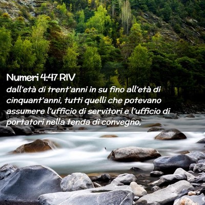 Picture 02 - Numeri 4:47 RIV - dall’età di trent’anni in su fino all’età - Bible Verse Picture