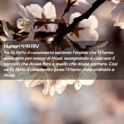 Picture 02 - Numeri 4:49 RIV - Ne fu fatto il censimento secondo l’ordine che - Bible Verse Picture